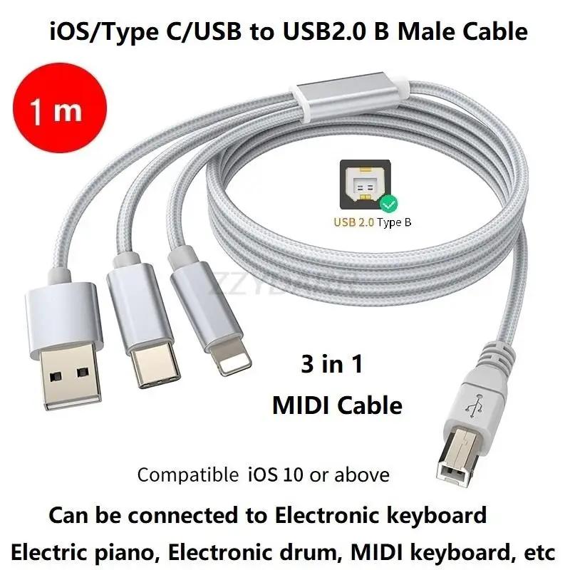 HP ĳ  ߸ ǾƳ ̵ Ʈѷ ȣȯ  OTG ̺, USB C, USB A, Ʈ-USB B, 3  1